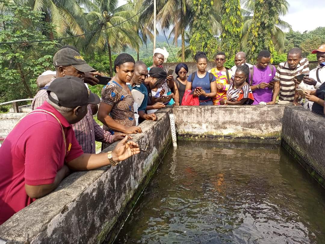 Fisheries Development