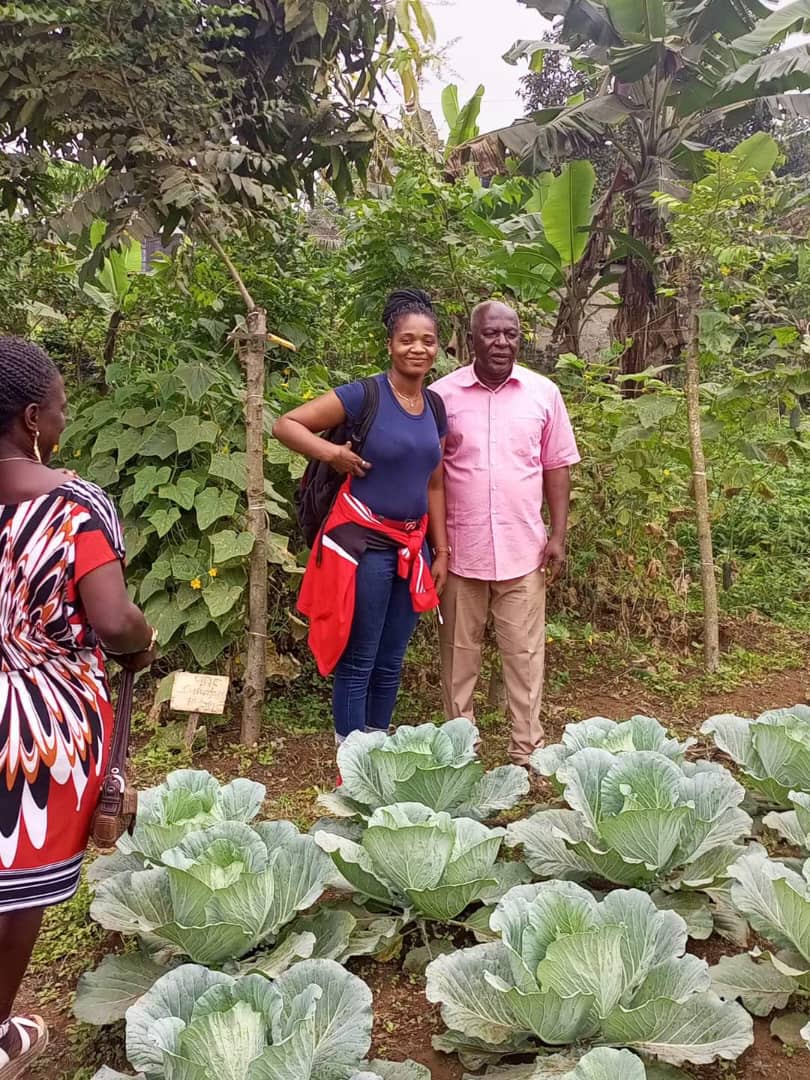 Cassava, Other Crops & Livestock Farming